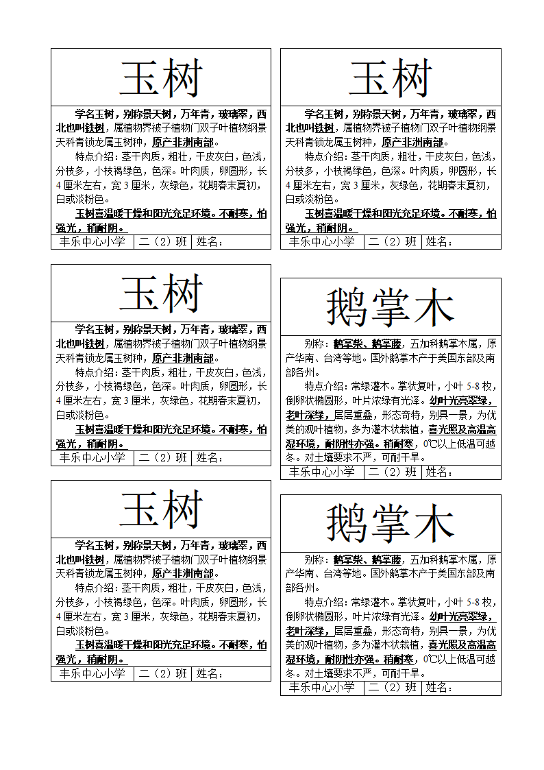 花卉标签第2页