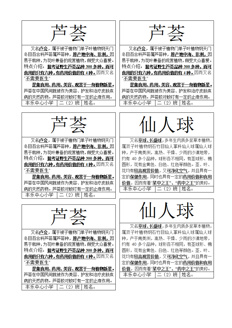 花卉标签第4页