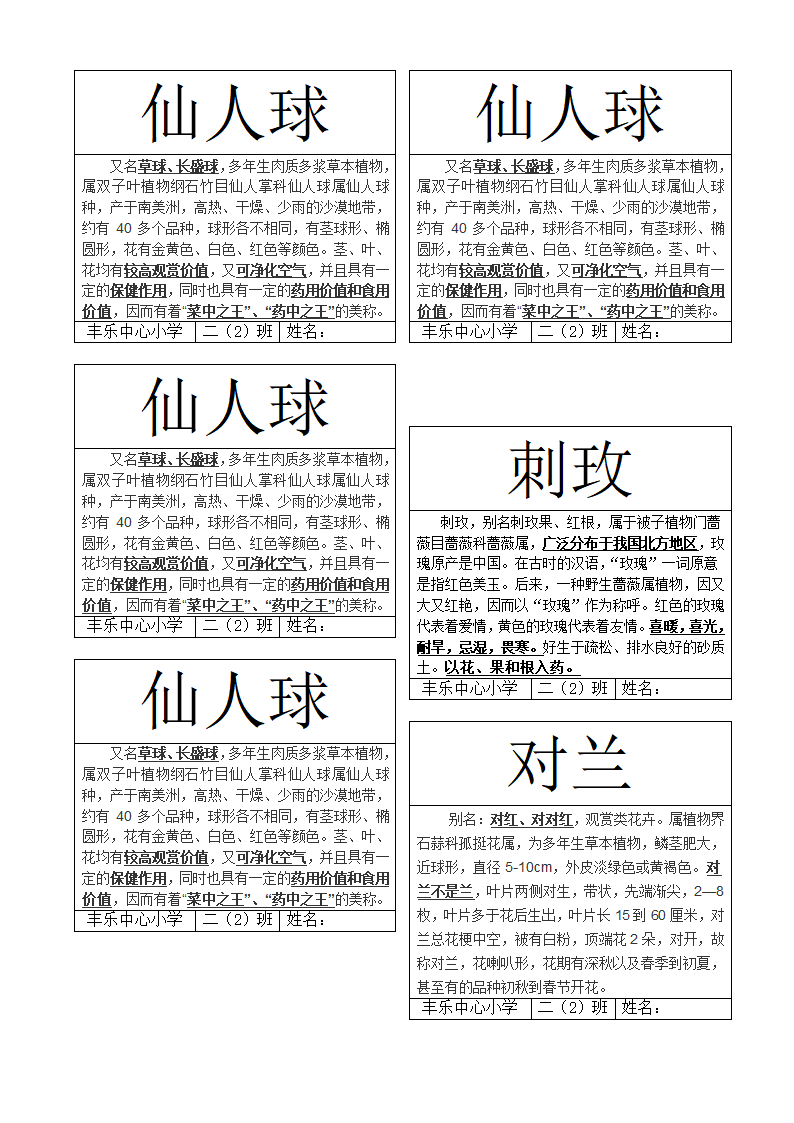 花卉标签第5页