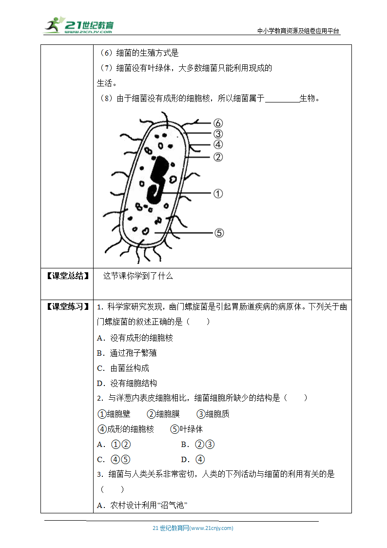 济南版2.3.2 细菌-2022-2023学年七年级生物上册同步学案（含答案）.doc第2页