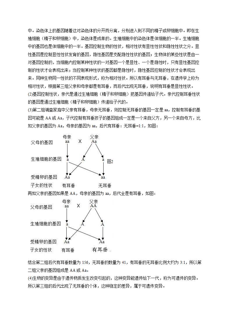 2022届中考生物各省模拟试题汇编卷 （河南卷二）（word版，含解析）.doc第16页