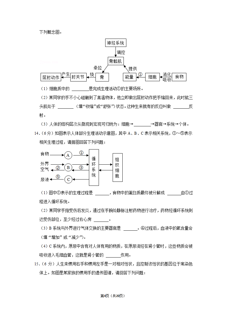 湖南省永州市2021年中考生物试卷（word版，含解析）.doc第4页