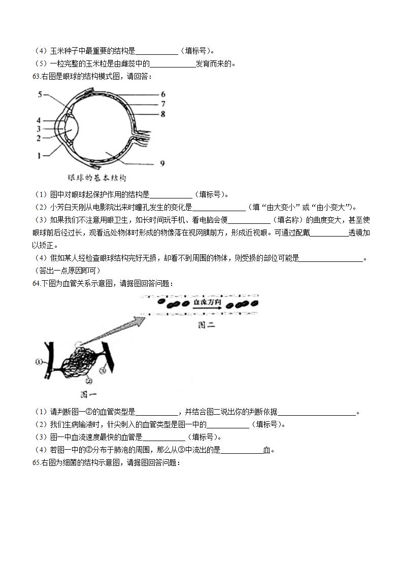 2022年黑龙江省龙东地区中考生物真题 (word版含答案).doc第6页