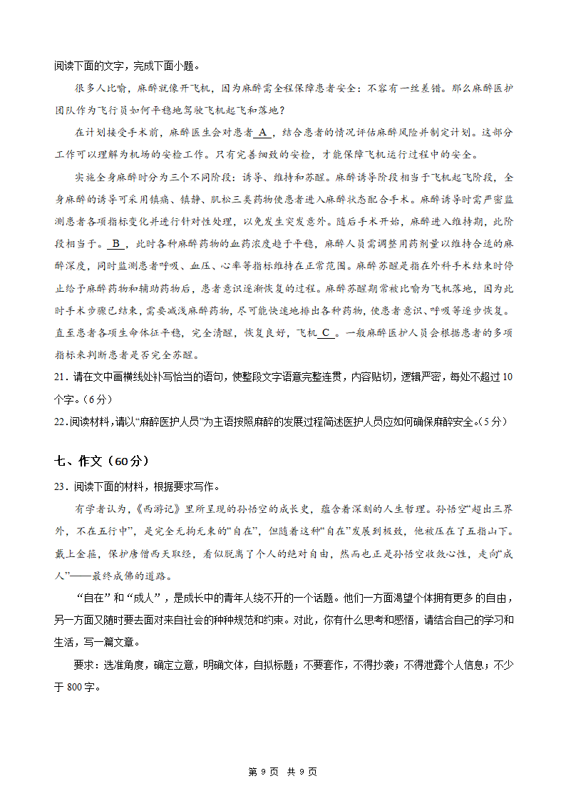 2024年新高考统编版语文模拟卷4（含解析）.doc第9页