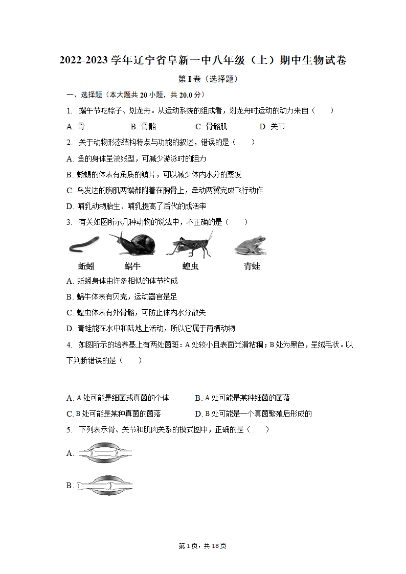 2022-2023学年辽宁省阜新一中八年级（上）期中生物试卷（含解析）.doc第1页