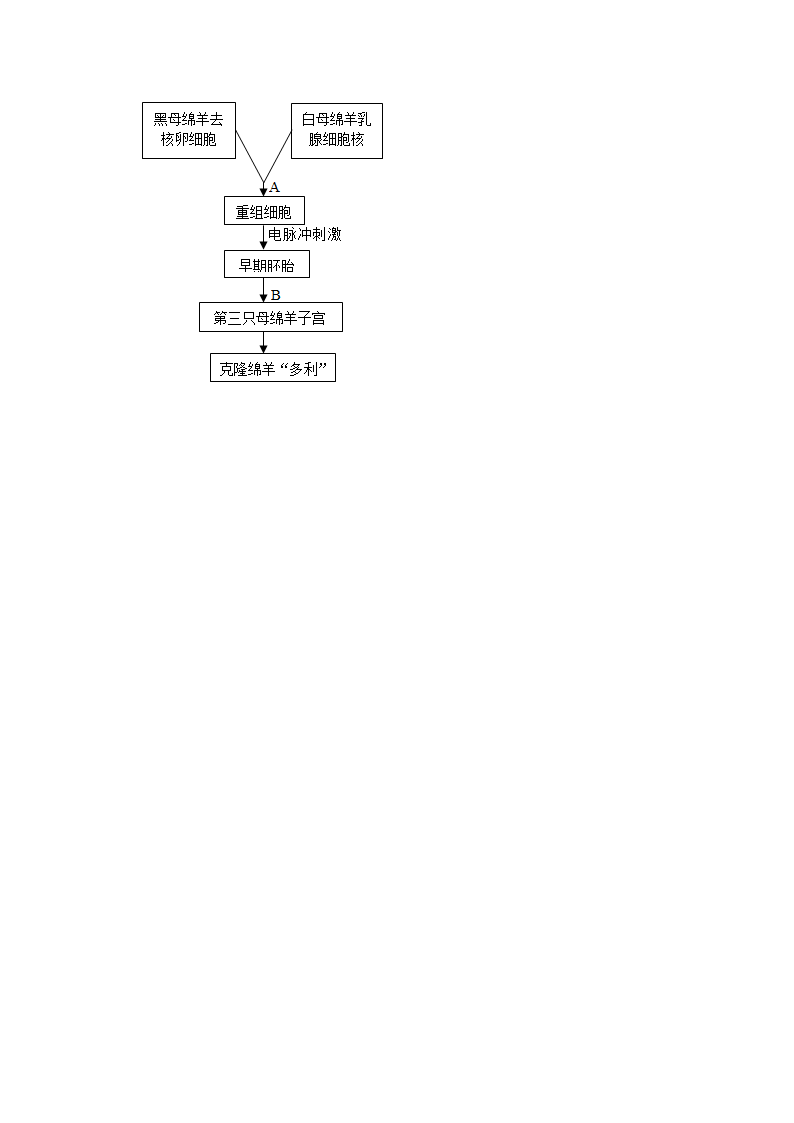 -2022年广西中考生物二轮专题练8-生物技术（word版含解析）.doc第6页