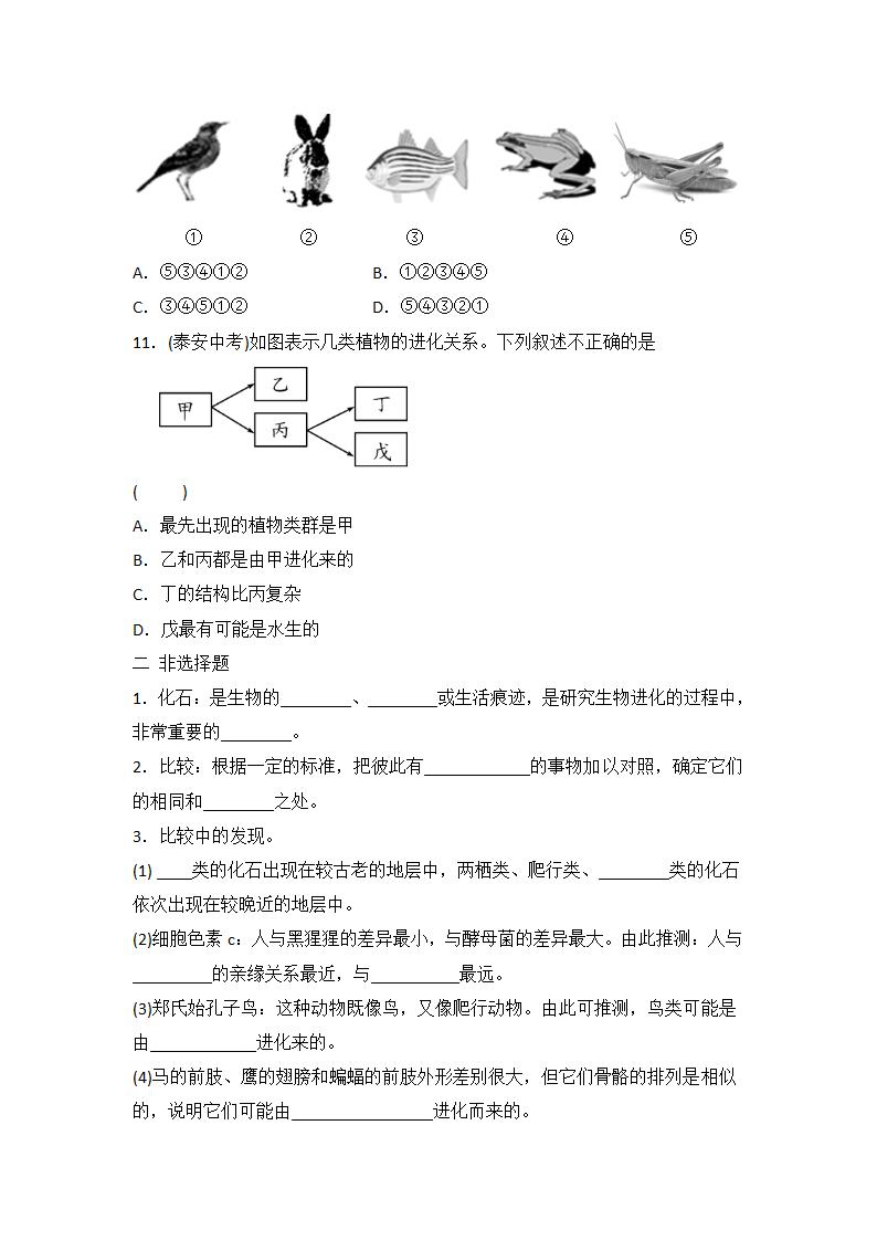 人教版八年级下册生物 7.3.2 生物进化的历程 同步练习（word版含答案）.doc第3页