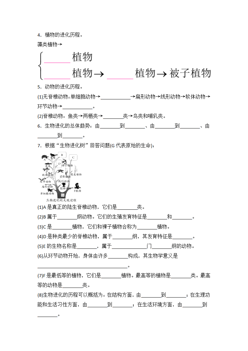 人教版八年级下册生物 7.3.2 生物进化的历程 同步练习（word版含答案）.doc第4页