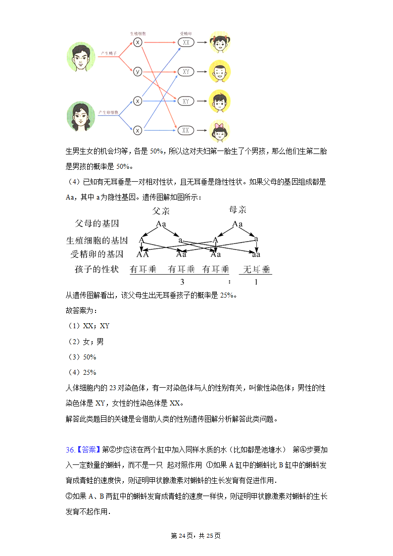 2022年陕西省宝鸡市中考生物一模试卷（word版，含解析）.doc第24页