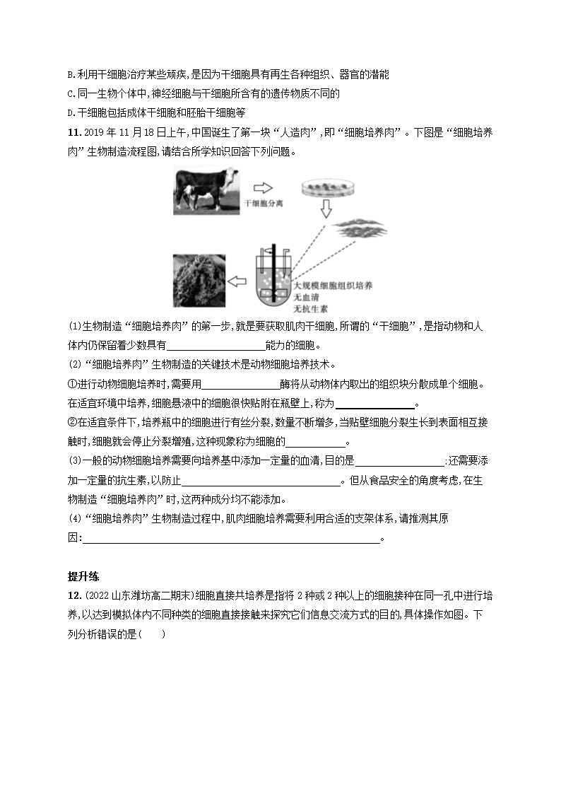 高中生物  2.2.1动物细胞培养课后习题（word版含解析）.doc第3页