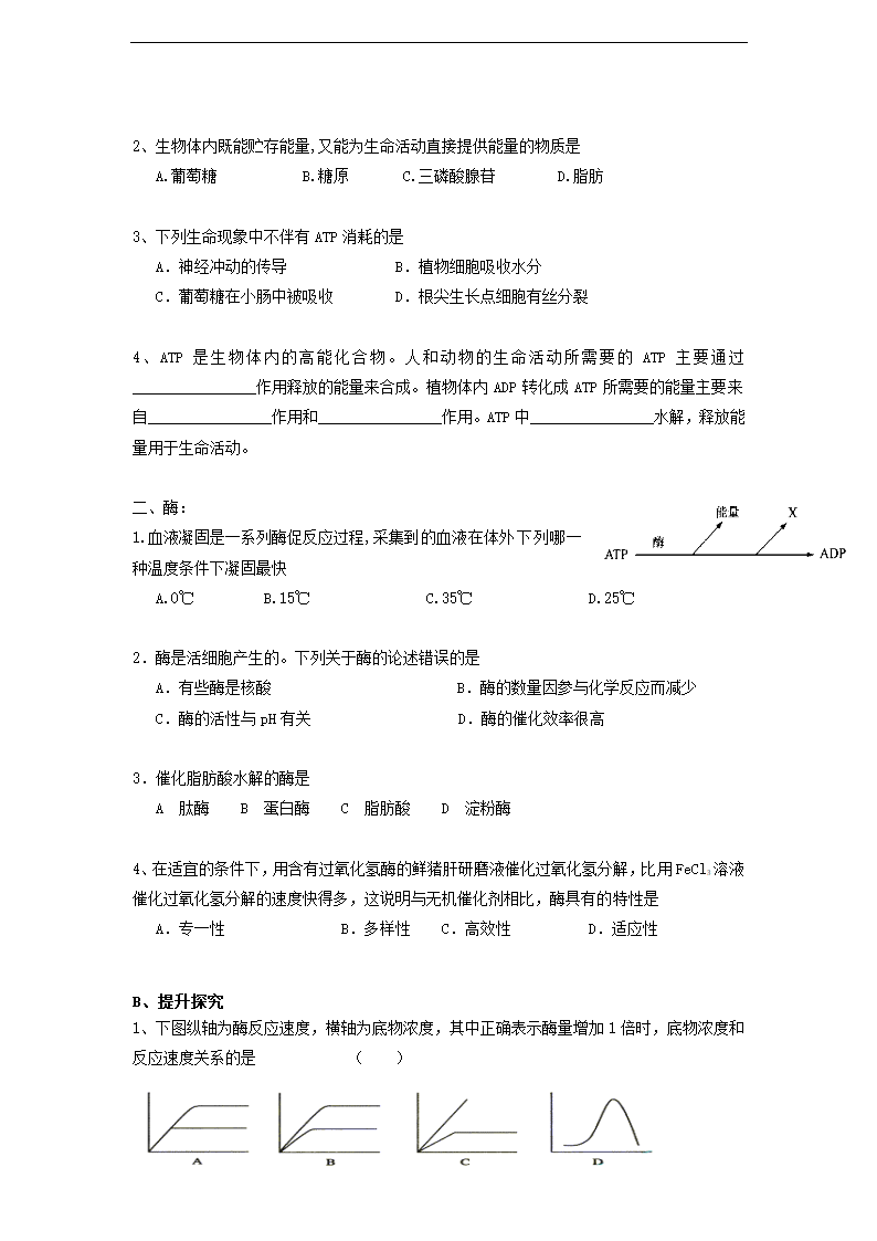 高中生物苏教版必修一《4.1ATP和酶》学案.docx第4页