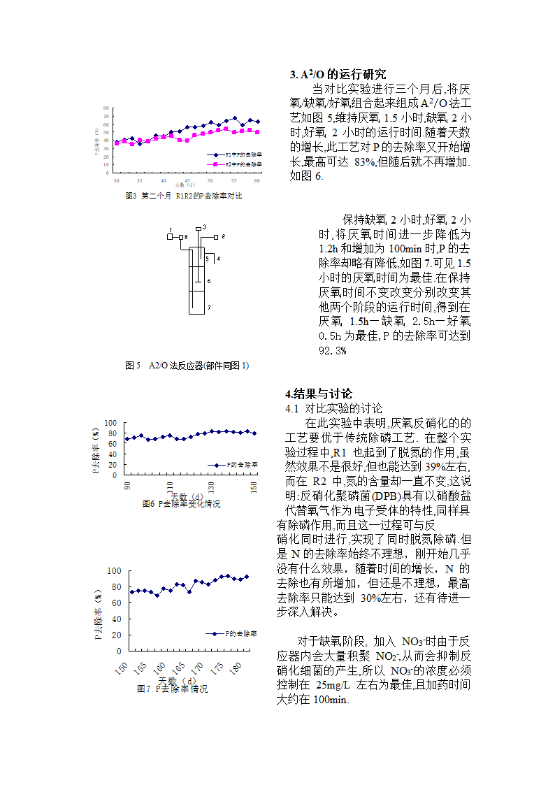 A2O除磷新工艺的究研及其微生物学原理.doc第3页