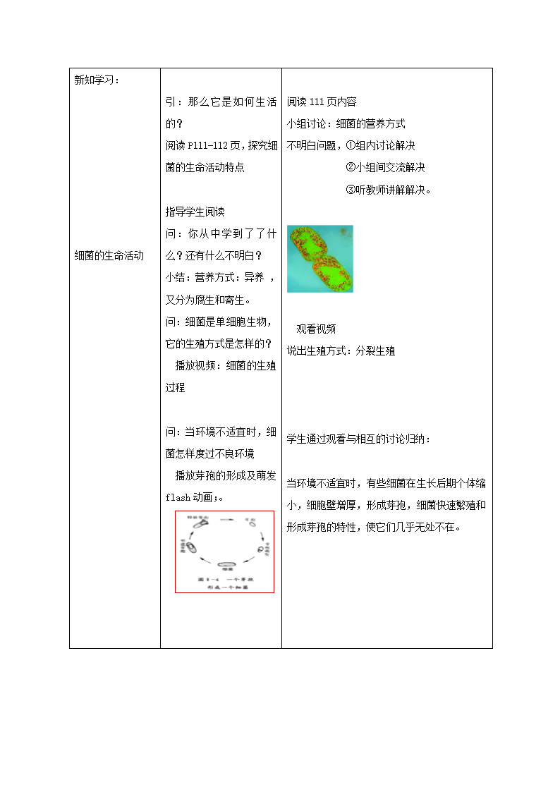 济南版七上生物 2.3.2细菌 教案.doc第4页