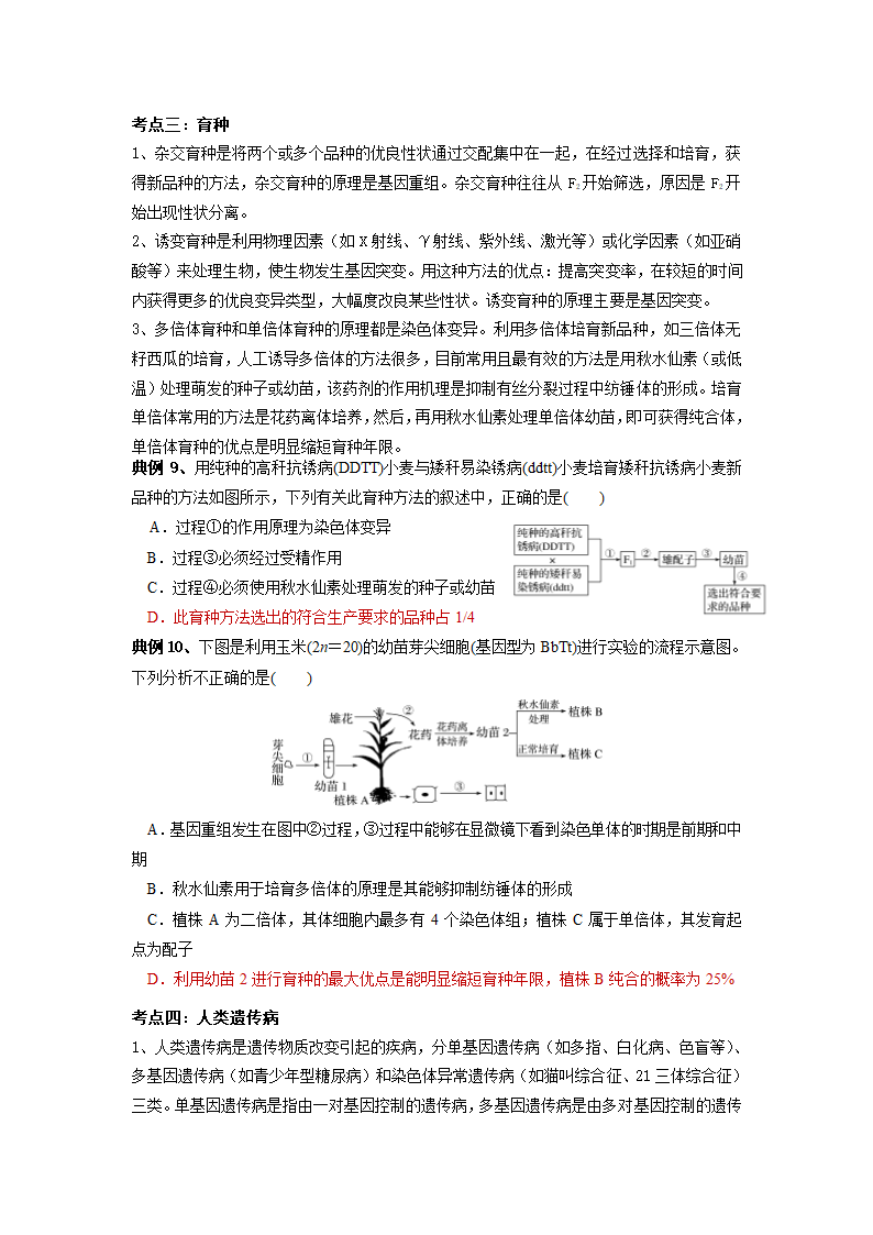 苏教版（2019）必修二第三章 生物的变异 考点梳理+典例练习.doc第3页