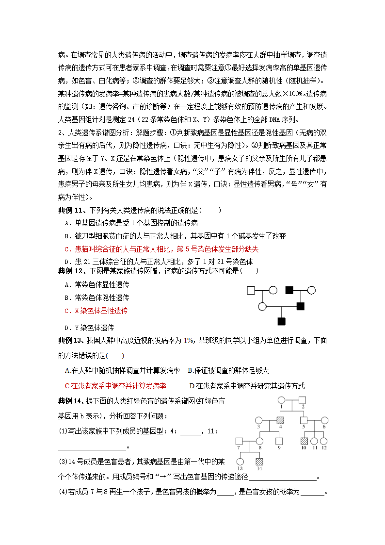 苏教版（2019）必修二第三章 生物的变异 考点梳理+典例练习.doc第4页