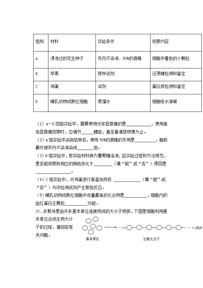 2023届高三一轮复习生物：蛋白质练习题（含答案）.doc第7页