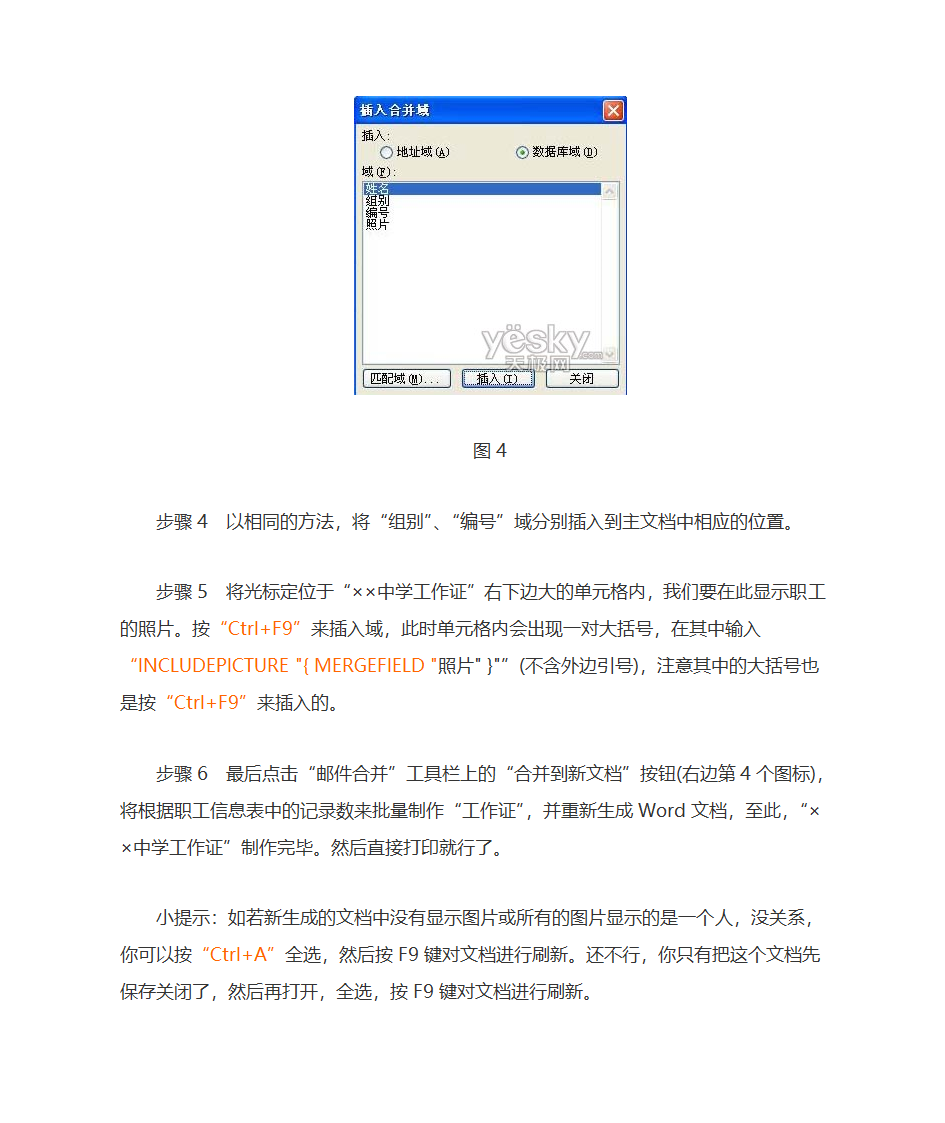 Word邮件合并实例：批量制作有照片的工作证第4页