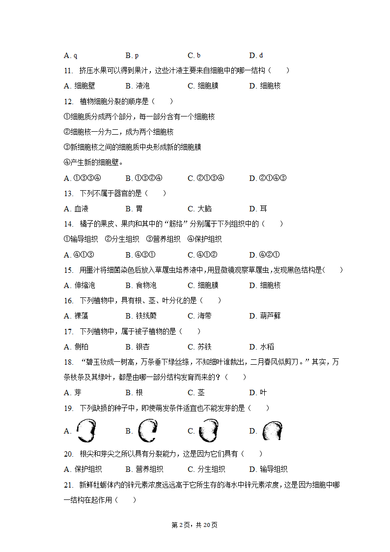 2022-2023学年天津九十中七年级（上）期末生物试卷（含解析）.doc第2页