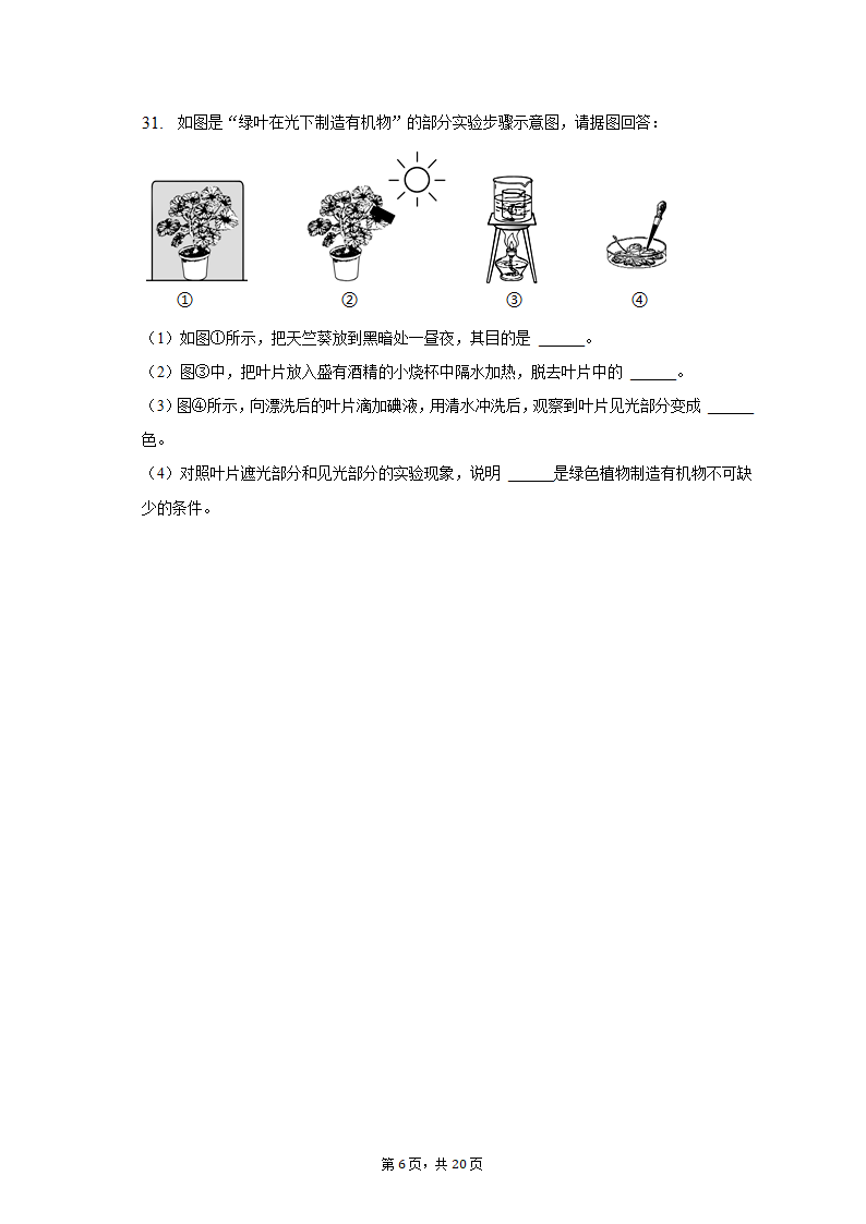 2022-2023学年天津九十中七年级（上）期末生物试卷（含解析）.doc第6页