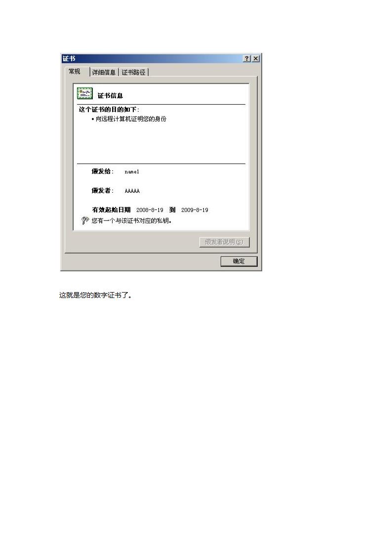 Windows CA 证书服务器配置(二) —— 申请数字证书第12页