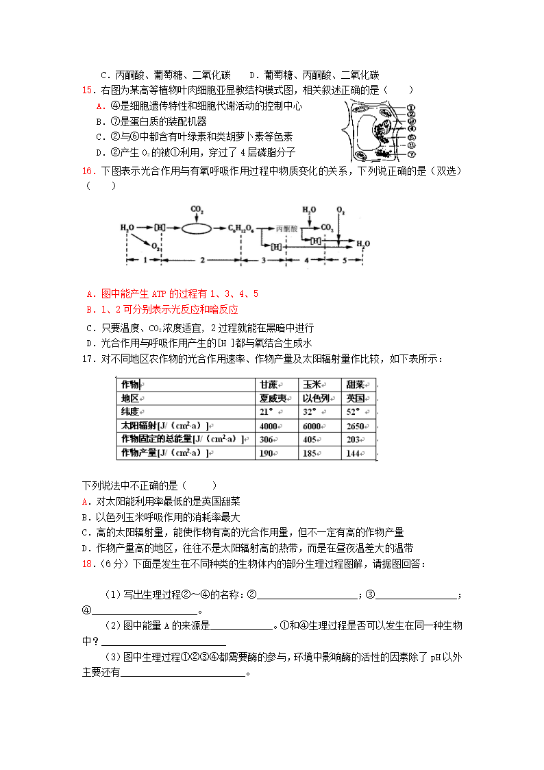 呼吸作用练习题第2页