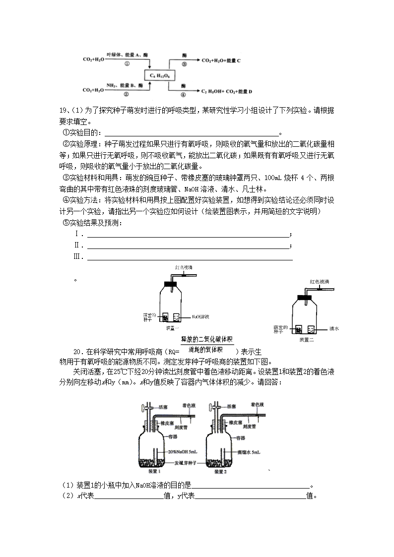 呼吸作用练习题第3页