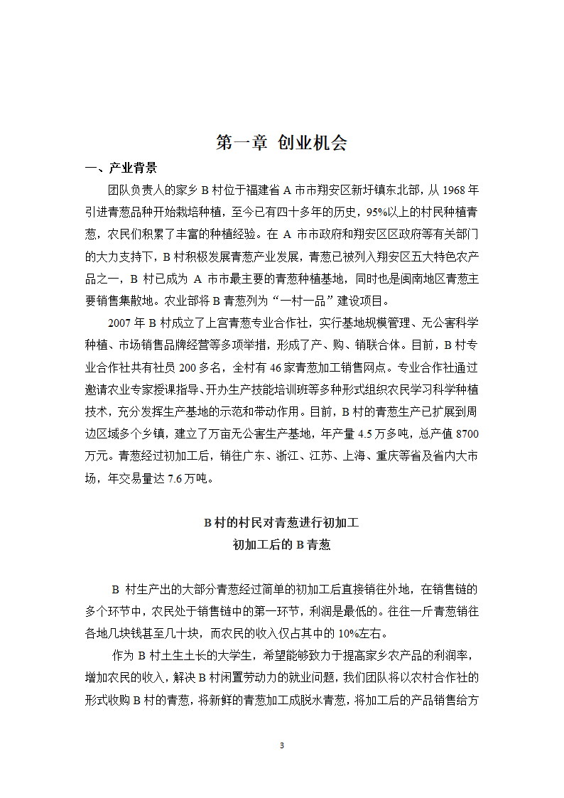 青葱加工项目计划书.docx第3页