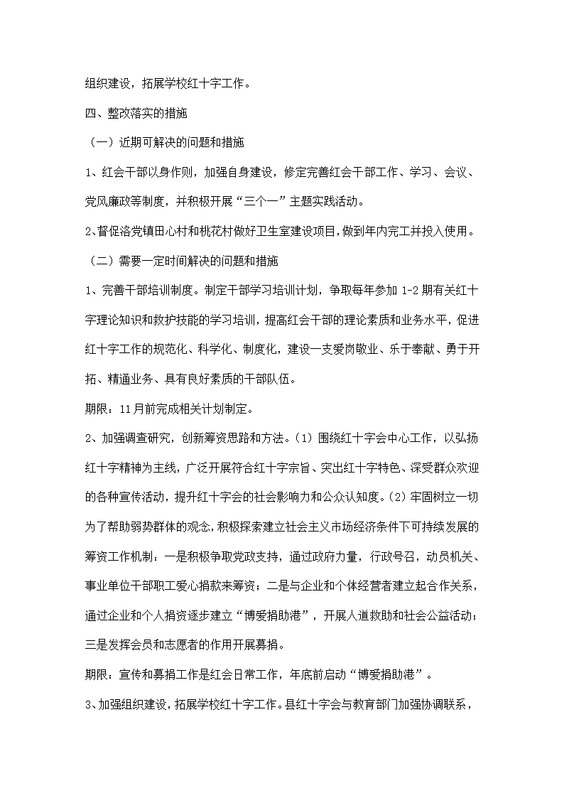 红十字会学习实践活动整改落实方案.docx第3页