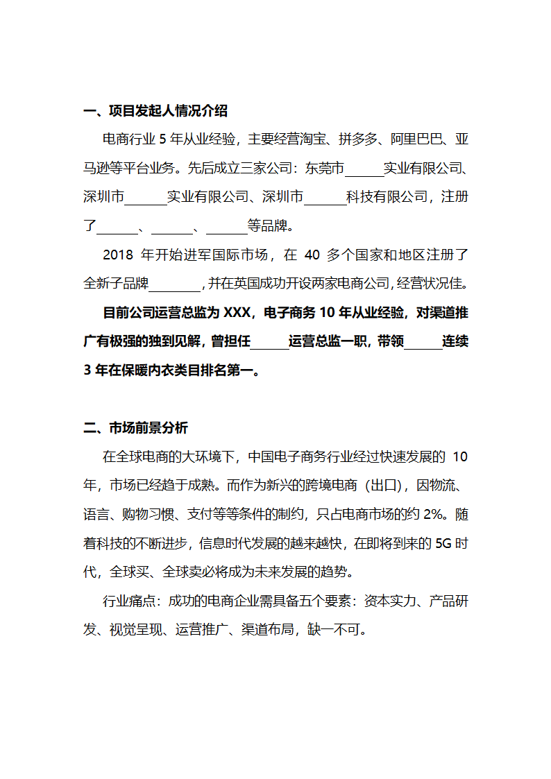 电商合伙人项目计划书.docx第2页