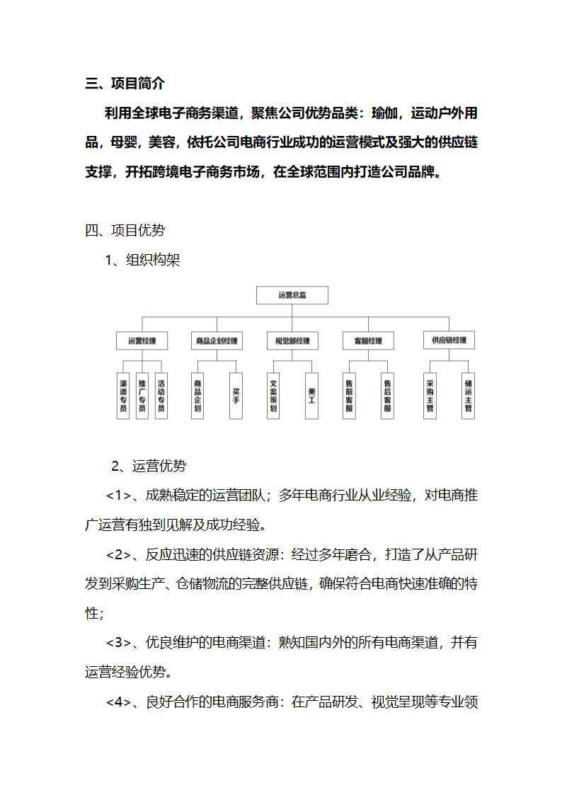 电商合伙人项目计划书.docx第3页