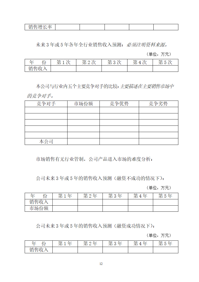 商业计划书模板.doc第12页