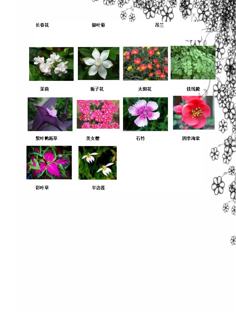 垂直绿化分析第5页