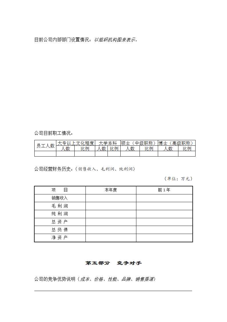 商业计划书模板（空白）.docx第13页