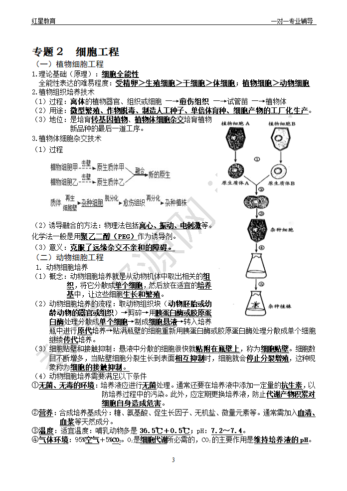 基因工程知识点与习题第3页