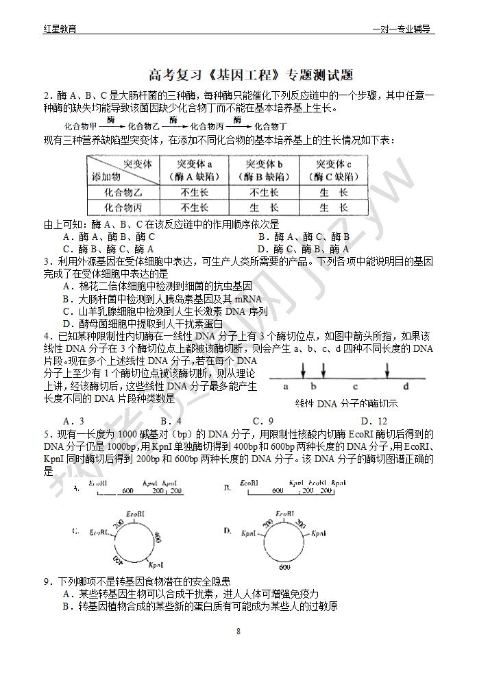 基因工程知识点与习题第8页