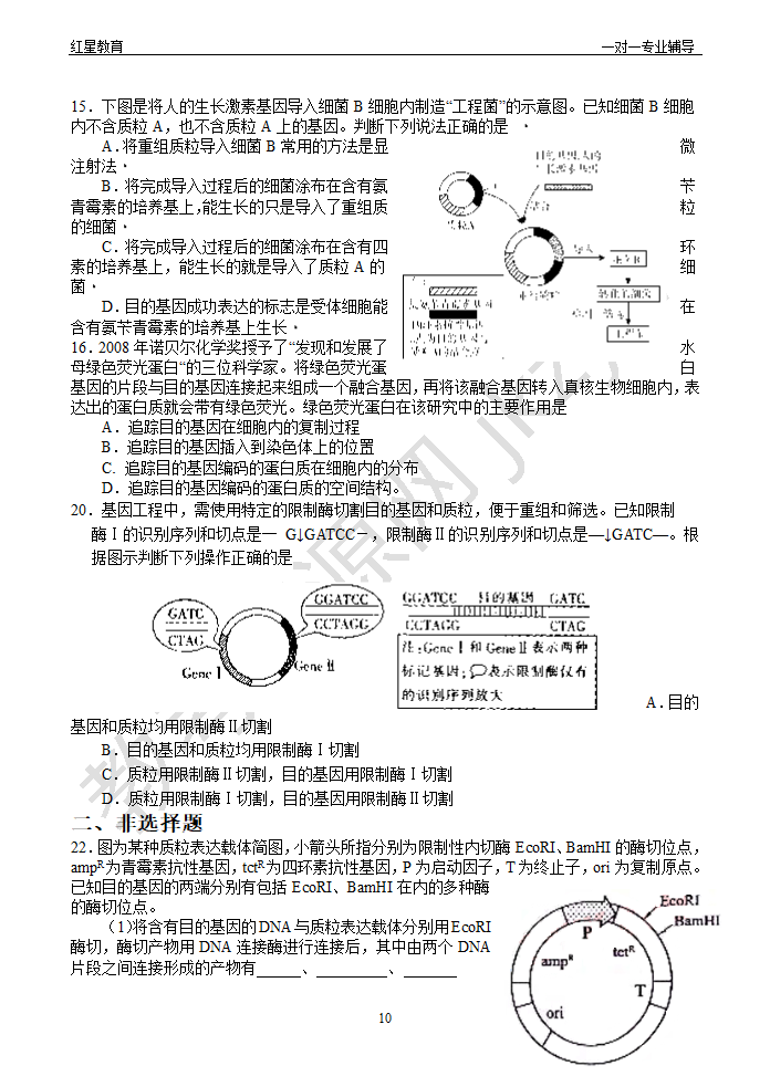 基因工程知识点与习题第10页