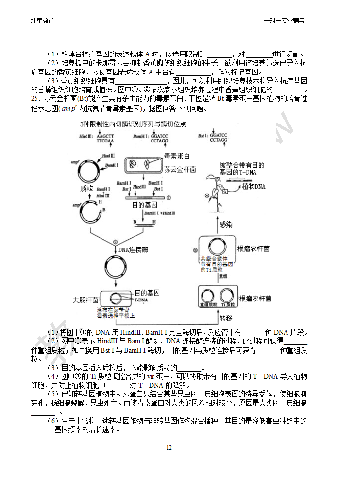 基因工程知识点与习题第12页