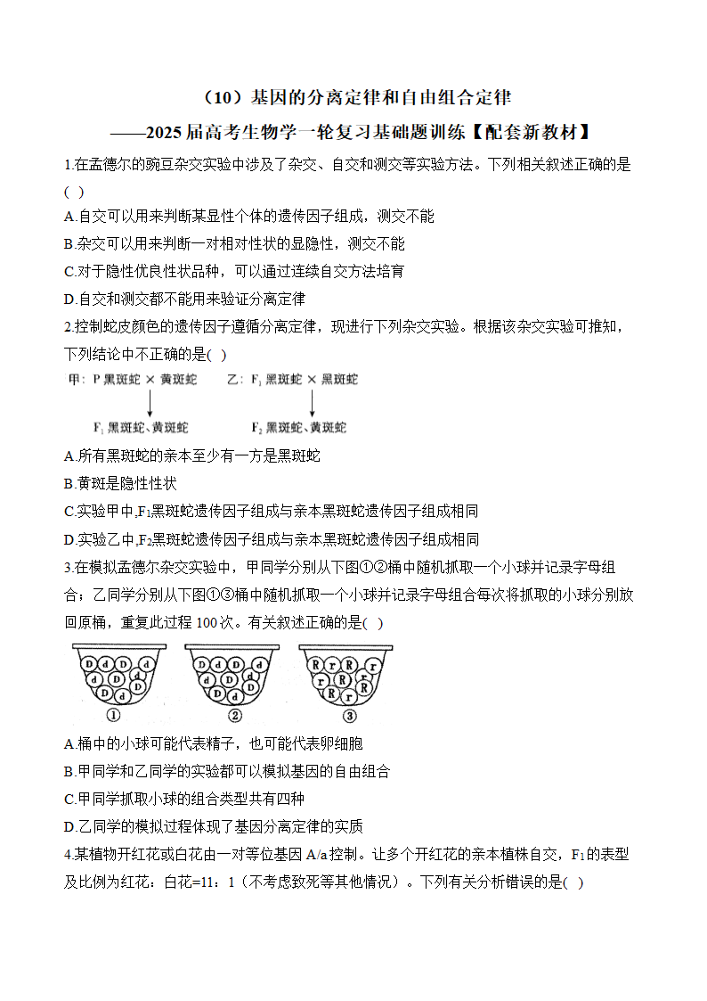 （10）基因的分离定律和自由组合定律（含解析）——2025届高考生物学一轮复习基础题训练【配套新教材】.doc