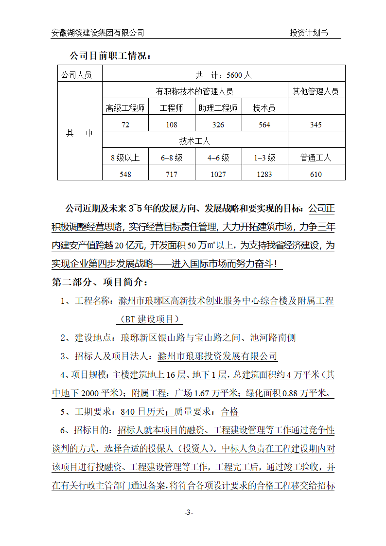 BT项目投资计划书.doc第3页