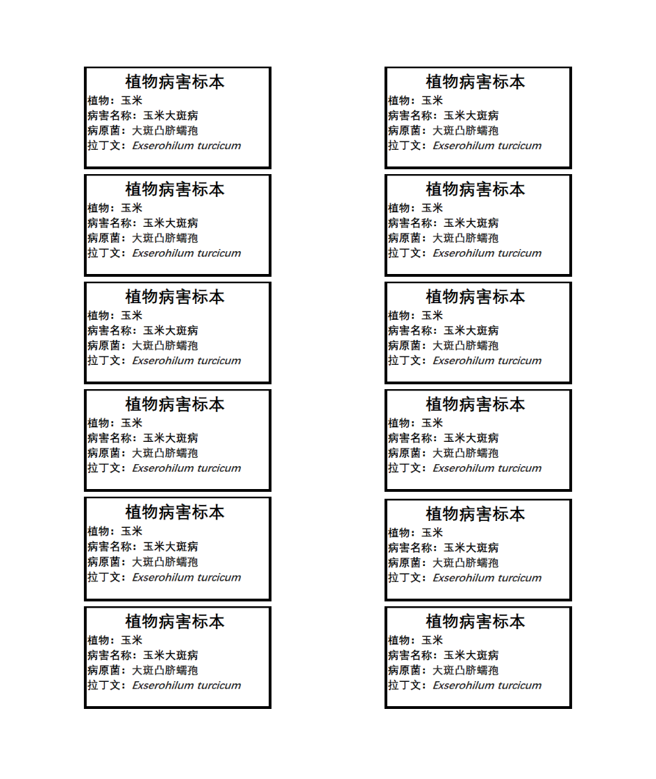 标签格式第2页