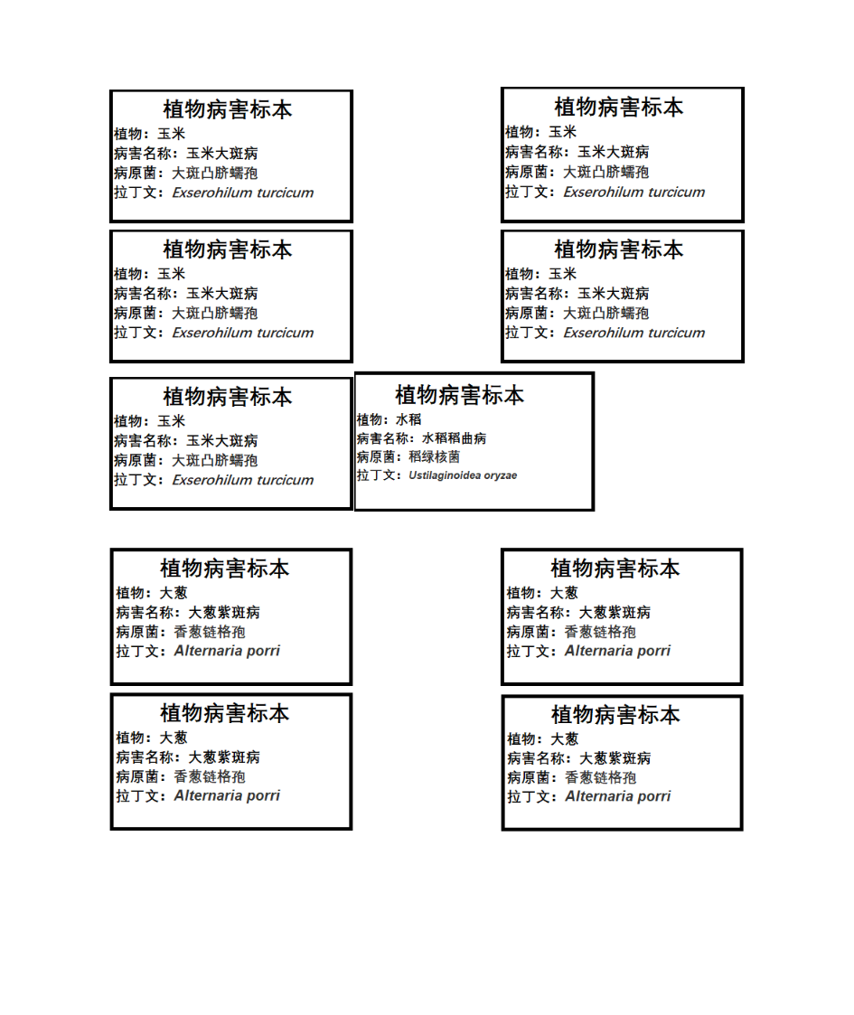 标签格式第3页