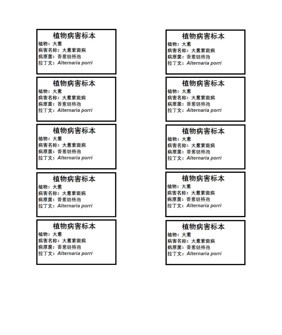 标签格式第4页