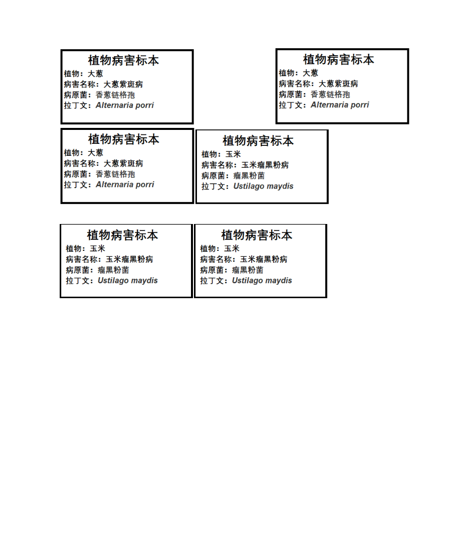 标签格式第5页