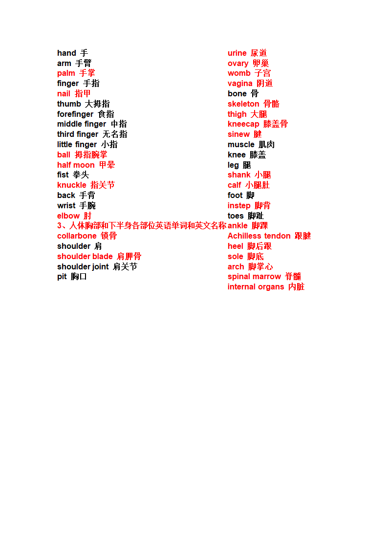 人体部位单词第2页