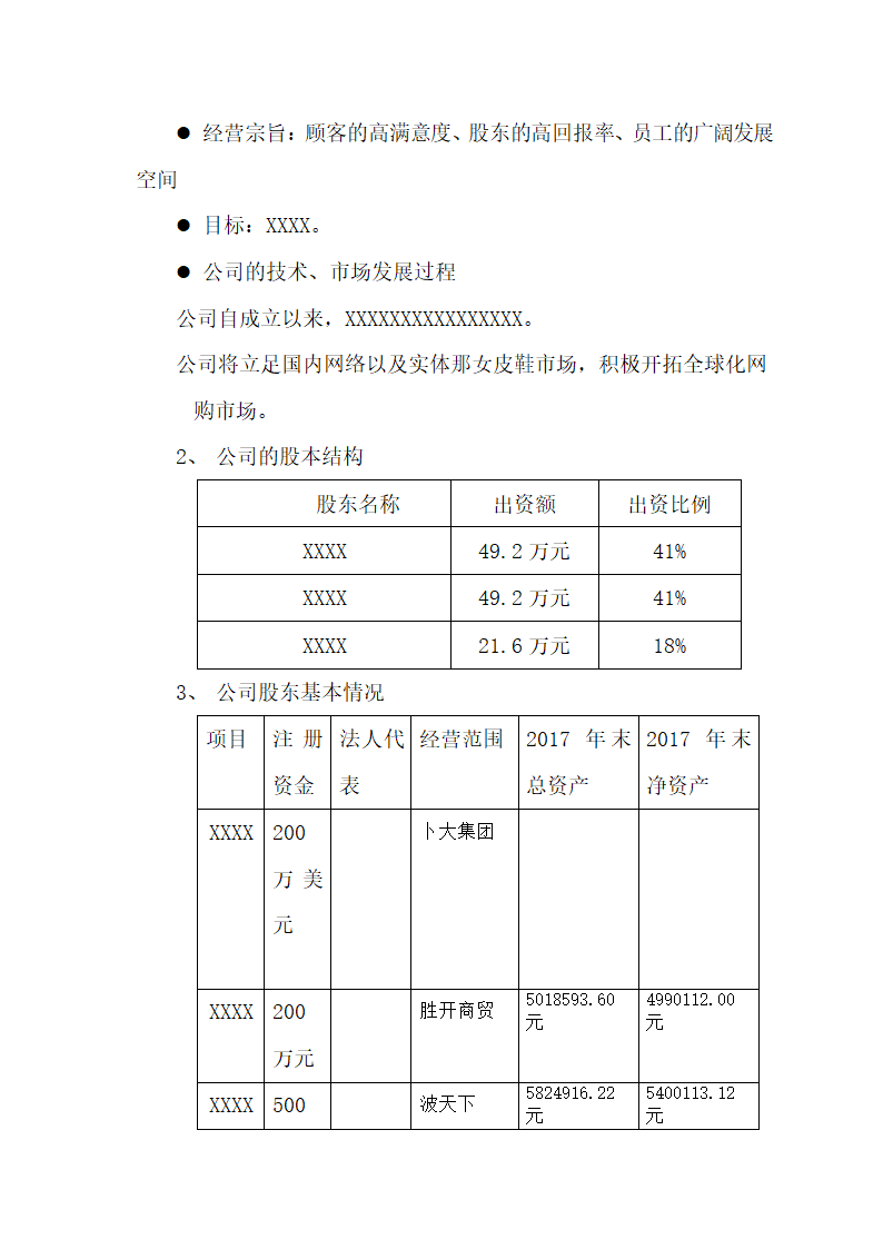 公司商业融资计划书（通用版）.docx第3页