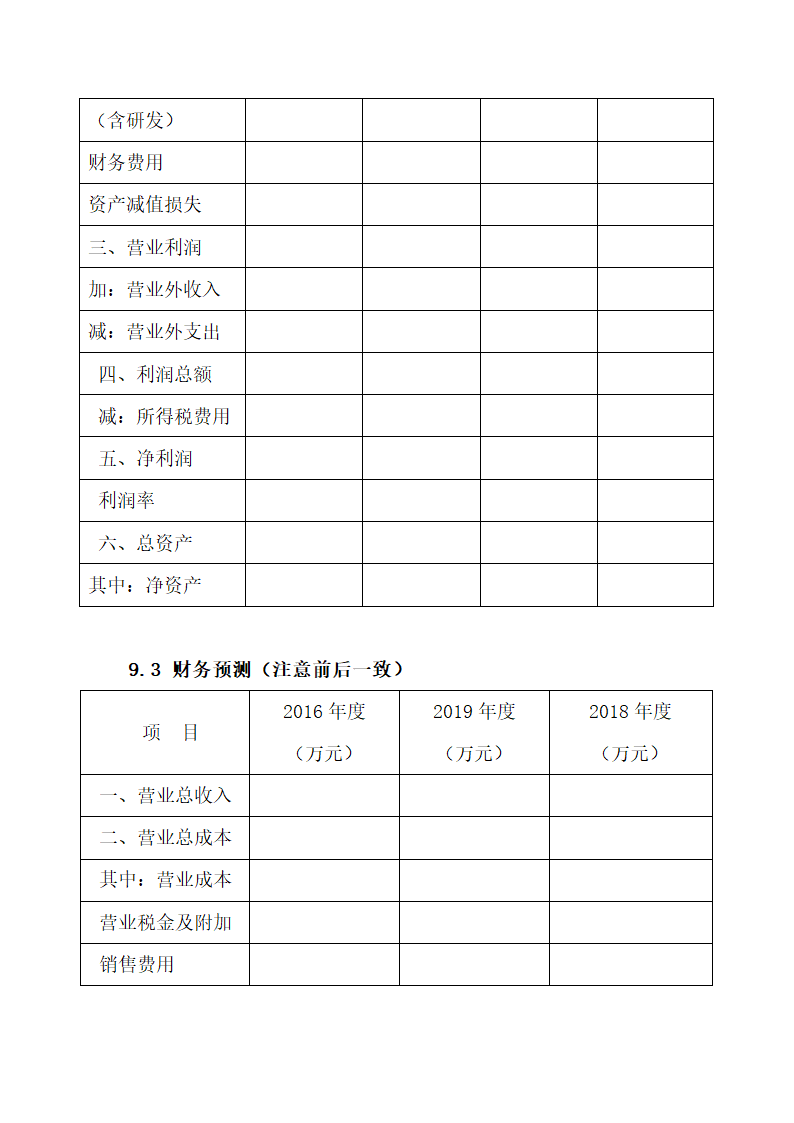 科技公司商业计划书.docx第17页