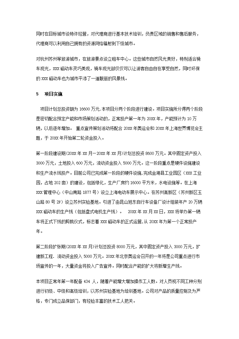 动力车项目商业计划书.docx第10页