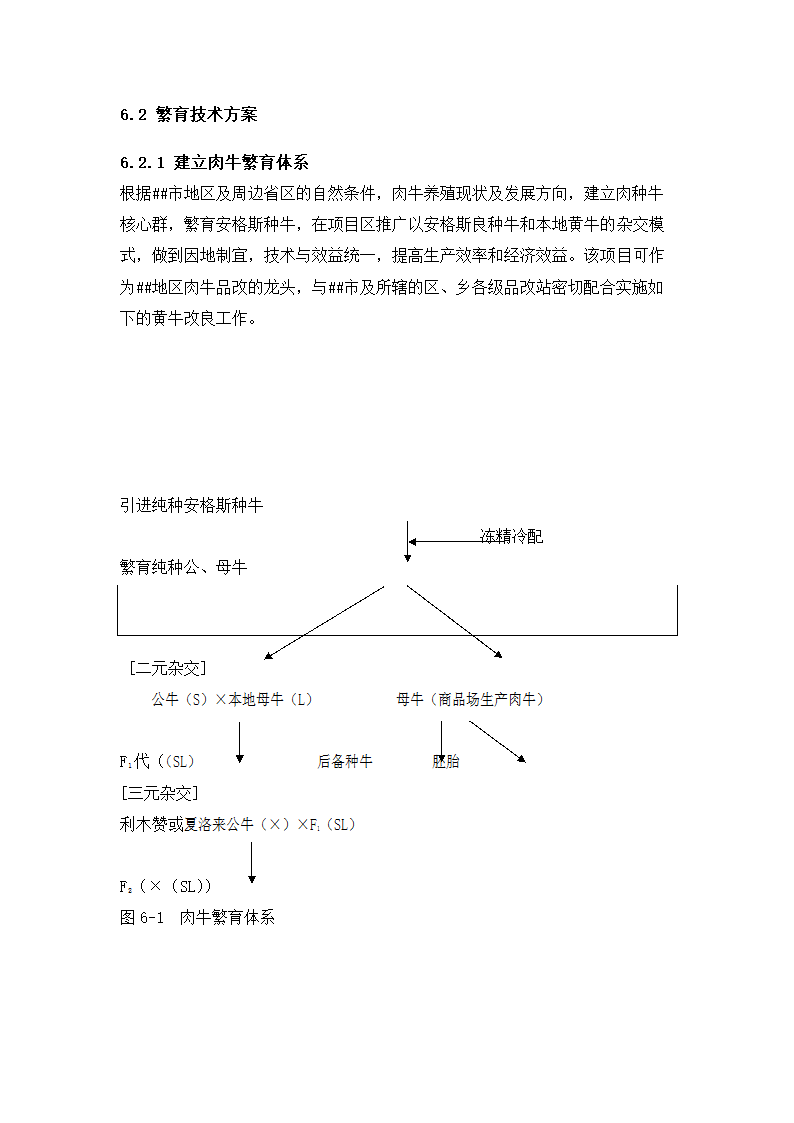 牛肉公司种牛场扩建项目实施方案.docx第30页