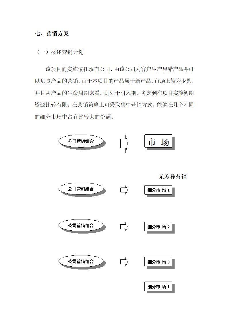 果酸饮料项目商业计划书.docx第39页