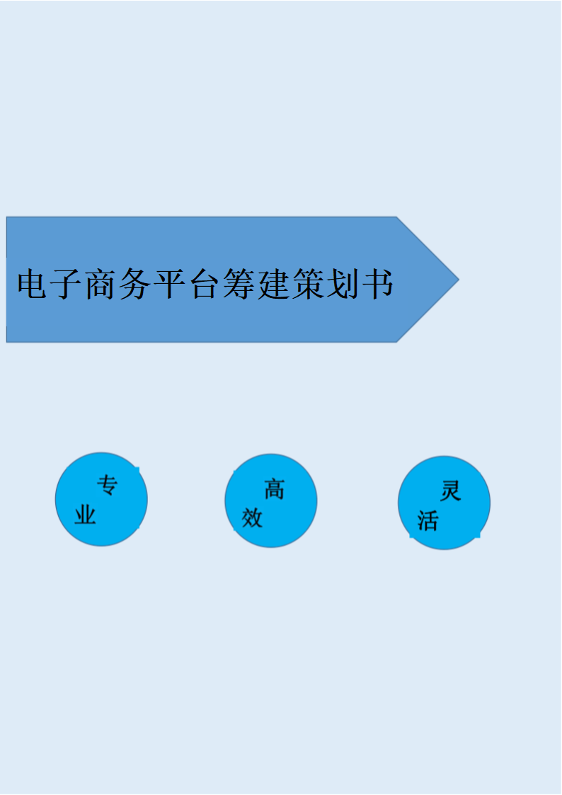 电子商务运营平台筹建及策划方案.docx第1页